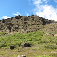 St. Pixie - Open Mind (Two Step Closer)