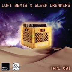 LOFIBEATS X SLEEP DREAMERS TAPE 001 (MoreBeats>LessSleep SIDE B)