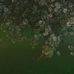 lostwoods
