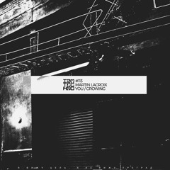 Martin Lacroix - Growing (Original Mix)