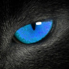 Black And Blue [instrumental] DWNLD