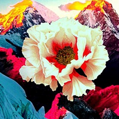 Rainforests (Vaporwave album coming eventually)