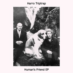 Harro Triptrap - Fck Tht (Version) (Bandcamp Exclusive)