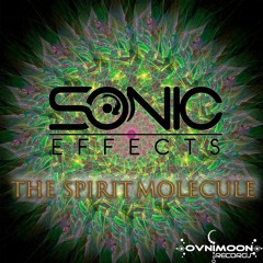 01 - Sonic Effects - Earth Sounds