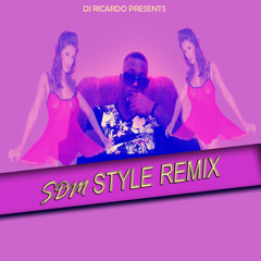 DJ RICARDO - SDM STYLE REMIX 2017