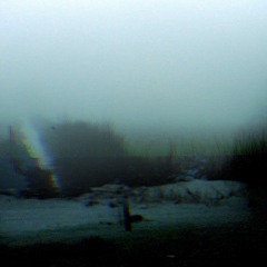 The Other Side