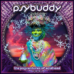 PsyBuddy_The Psyventures of Acidhead