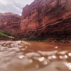 Turn on your mind, relax and float