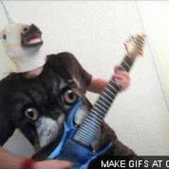 all your base are sweep to us