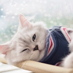 การเปลี่ยนแปลง - บอย By M5 RonglwaJ M5 + KaimookNumnim