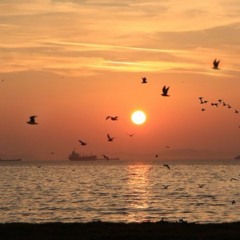 Morning Birds freestyle feat. Young OJ