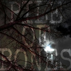 Piles of Bones (Boneshaker II: The Boneshakening)