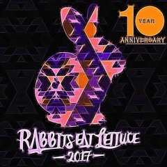 Volkiene @ Rabbits Eat Lettuce 2017 - Main Floor - Australia