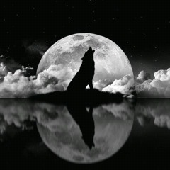 AUTOPUNK - The Wild Wolf