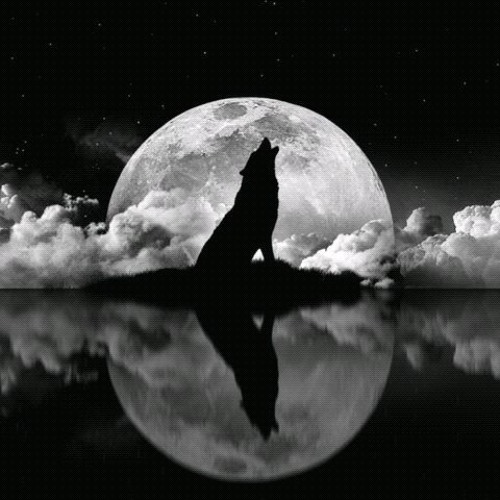 AUTOPUNK - The Wild Wolf