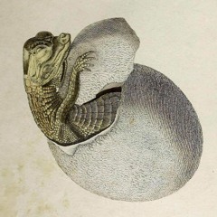 Thet Liturgiske Owäsendet & Jurko Haltuu (Live At Skissernas Museum Apr 20 2017)