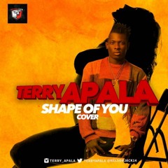 Terry Apala - Shape of You