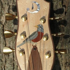 Improv on the Robin's Nest guitar