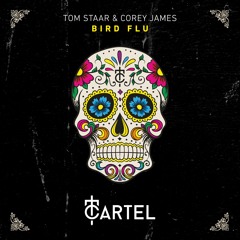 Tom Staar & Corey James - Bird Flu (Radio Edit)