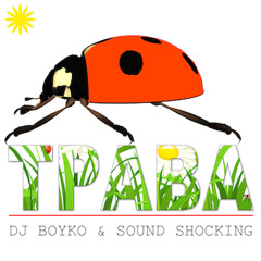 DJ Boyko & Sound Shocking - Трава (Radio Mix)