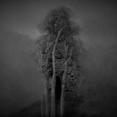 ENTITY