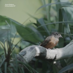 Jacob Bellens - Untouchable (Addal Remix)