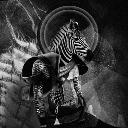 B2 Signs (Andre Kronert's Groovekeeper Remix) - Camea