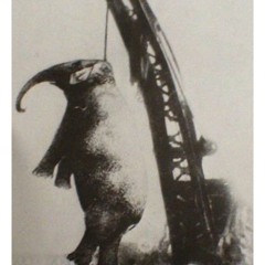 Last Week Around This Time I Was Also Speaking Nonsense