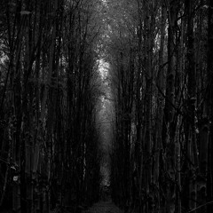 MoreThanMusic Ended Up Ft shane