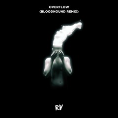 RAY VOLPE - OVERFLOW (BLOODHOUND REMIX)