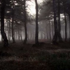 The Cure A Forest acoustic cover