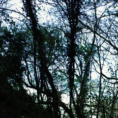 Clam Casino X Death Grips (Kogarasumu Bootleg)