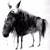 Artwork for David Byrne - Horses