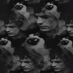 Lucifer Sam (Pink Floyd cover)