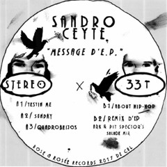 RER003 - SANDRO CEYTE - Message d'EP "preview"