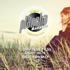 EL GATO TRISTE Y AZUL R