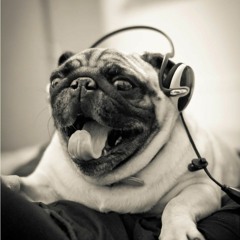 Music 2018 - BMW Music