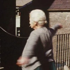 why do birds suddenly appear