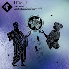 Litmus - Alright (Original Mix)