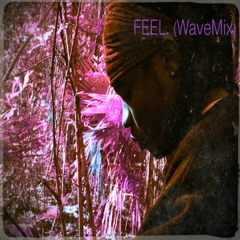 FEEL. (WaveMix)(Feat. Kevin Franklin)
