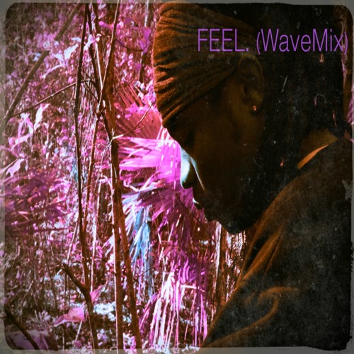 FEEL. (WaveMix)(Feat. Kevin Franklin)