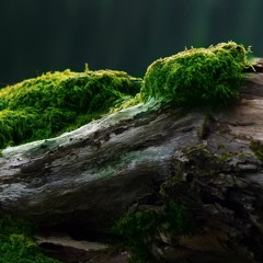 Techtonics 070 by PowTron - March 2017