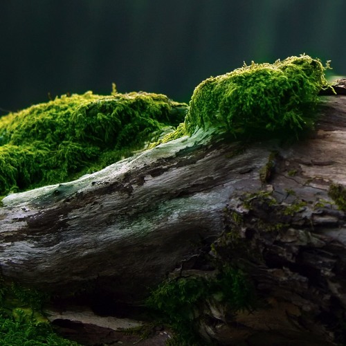 Techtonics 070 by PowTron - March 2017