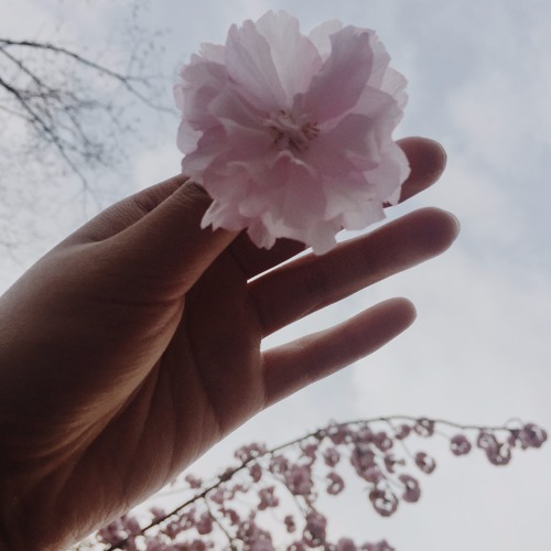 Create In Me