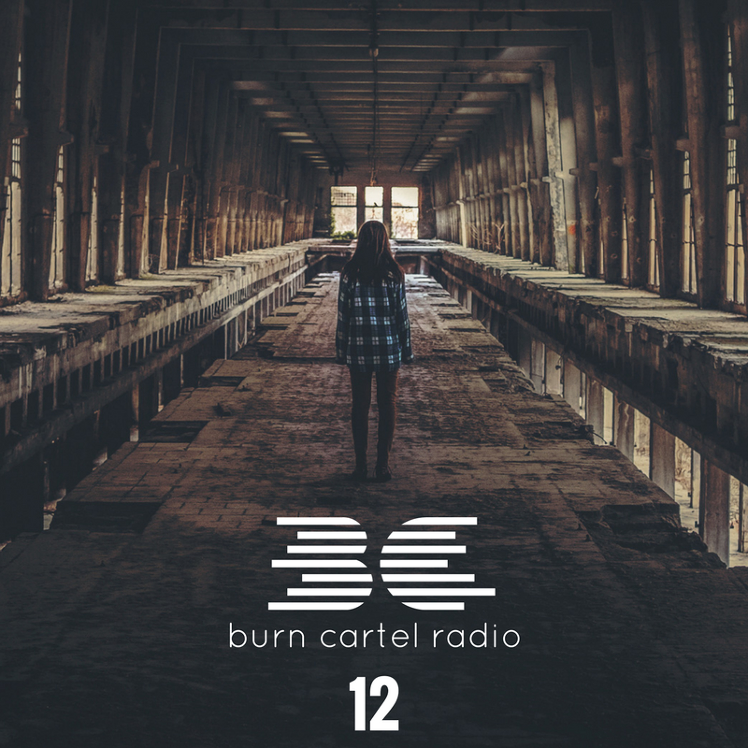 Burn Cartel