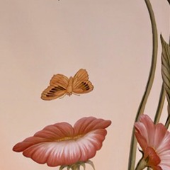 shook. freestyle. (demo)