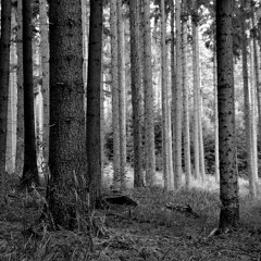 Podcast #2 - Anna Feodora