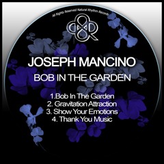 Joseph Mancino - Show Your Emotions ()