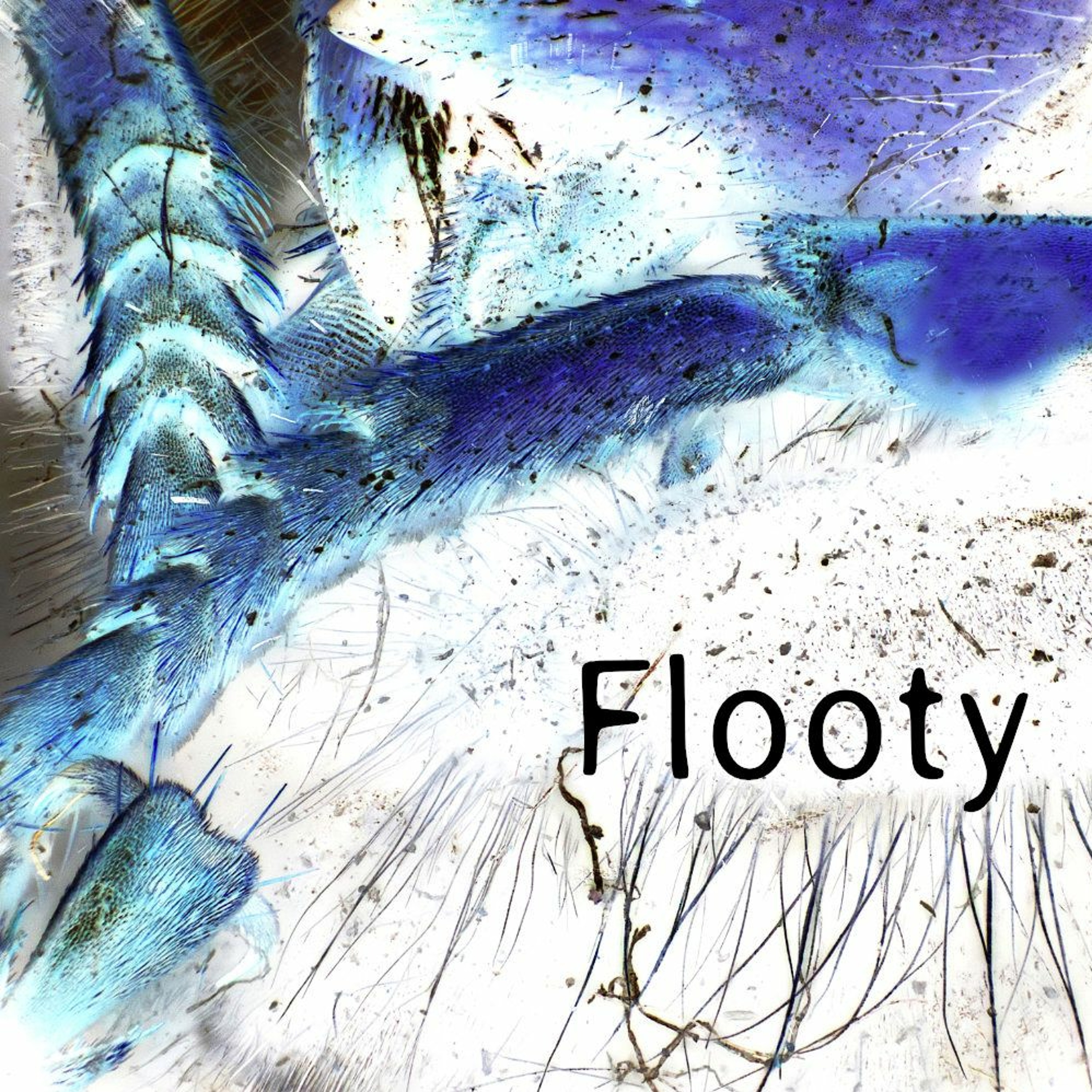 Flooty episode artwork