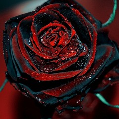 DJ KY Young As We Lay Pt 1